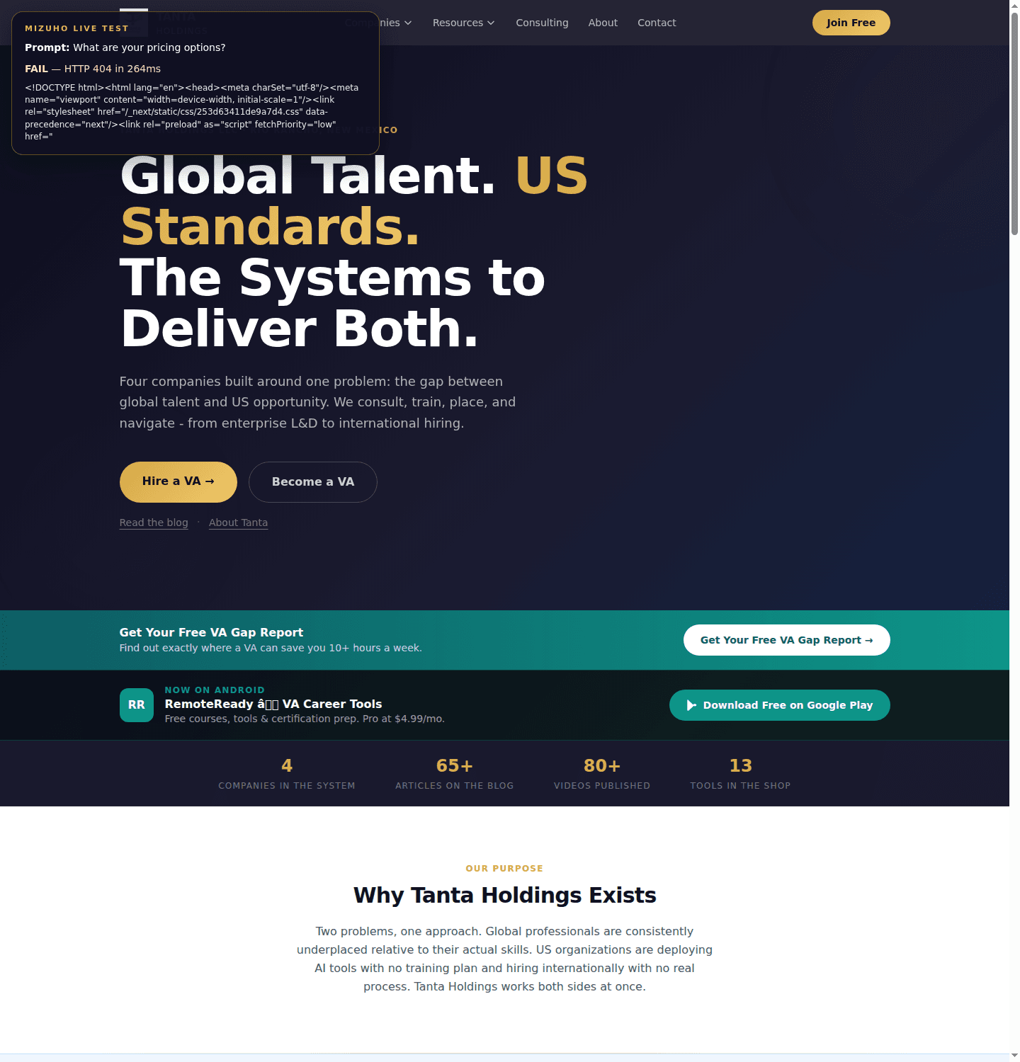 Tanta Holdings website builds pricing page with case study portfolio
